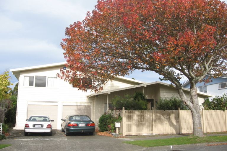 Photo of property in 20 Orr Crescent, Hutt Central, Lower Hutt, 5011