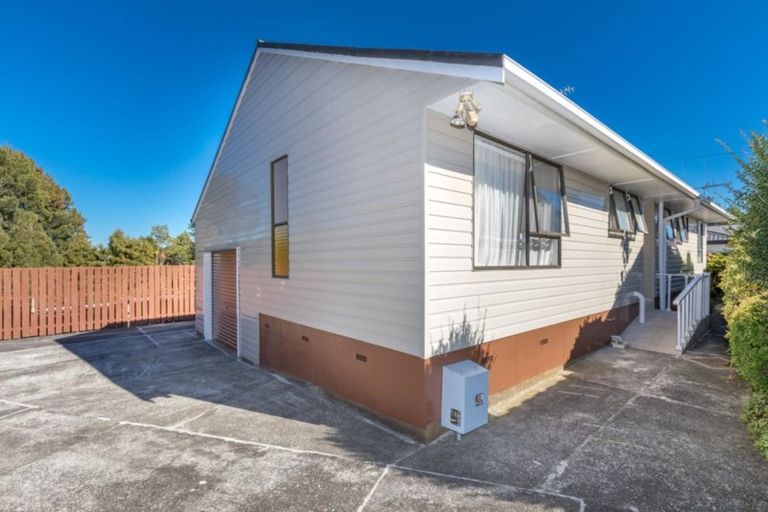 Photo of property in 29b Winter Street, Fairfield, Hamilton, 3214