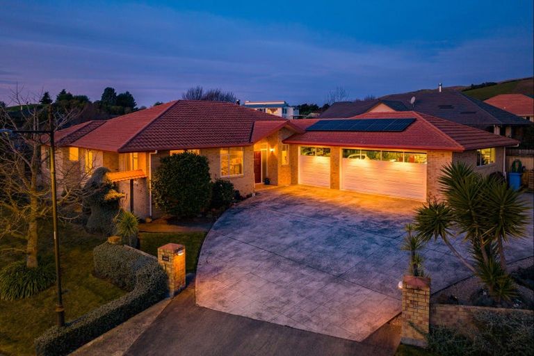 Photo of property in 1 Gingko Place, Witherlea, Blenheim, 7201