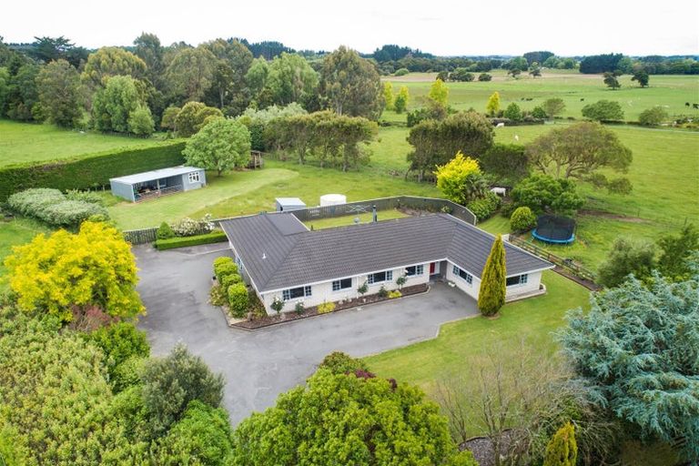 Photo of property in 130 Parewanui Road, Bulls, 4894