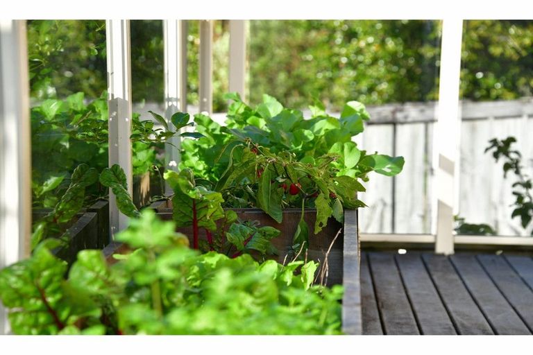 Photo of property in 1/926 Whangaparaoa Road, Manly, Whangaparaoa, 0930