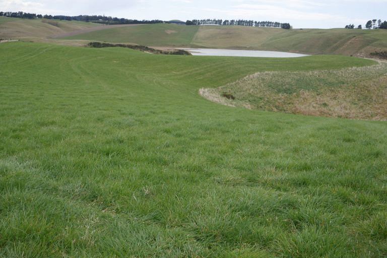 Photo of property in 360 Thorburn Road, Waikouaiti, 9472