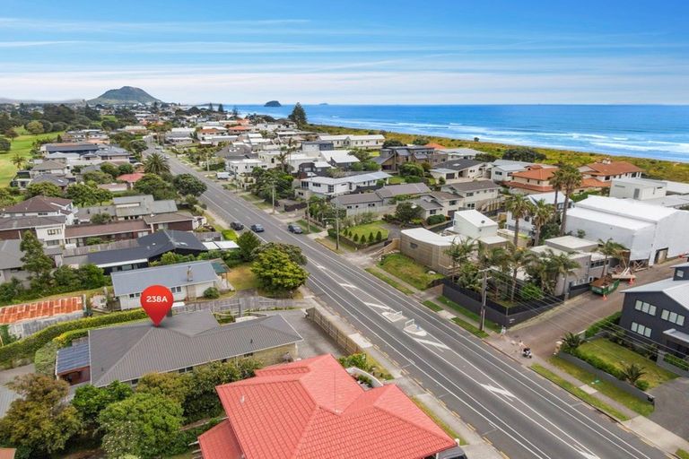 Photo of property in 238a Oceanbeach Road, Mount Maunganui, 3116