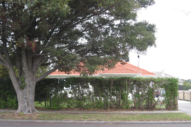 Photo of property in 77 Nuffield Avenue, Marewa, Napier, 4110