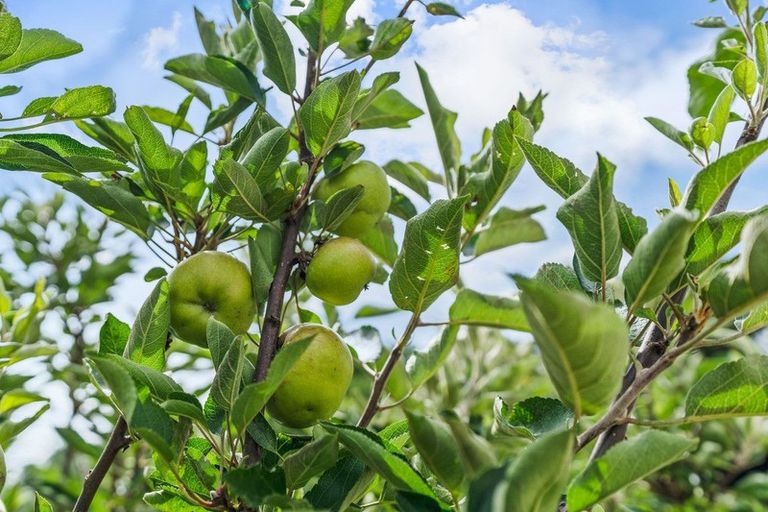 Photo of property in 40b Moir Point Road, Mangawhai Heads, Mangawhai, 0505