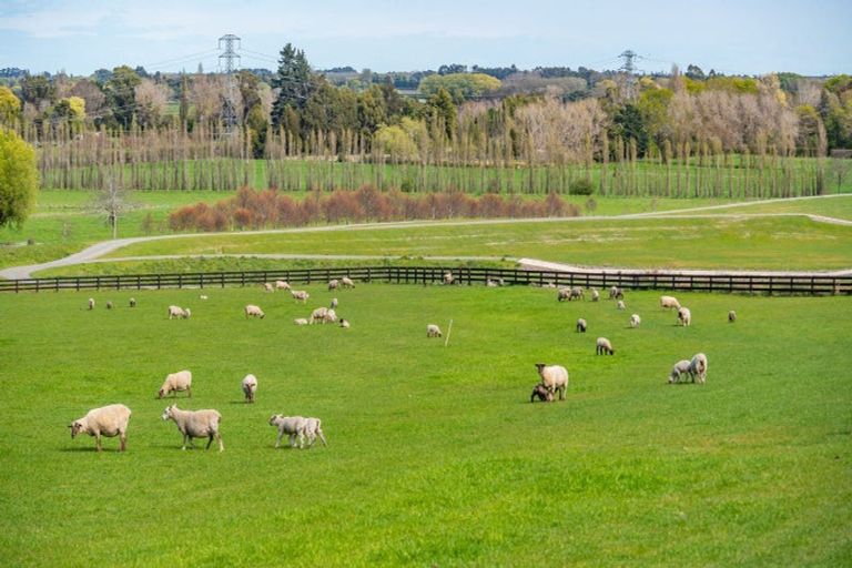 Photo of property in 10 Kapuka Lane, Kennedys Bush, Christchurch, 8025