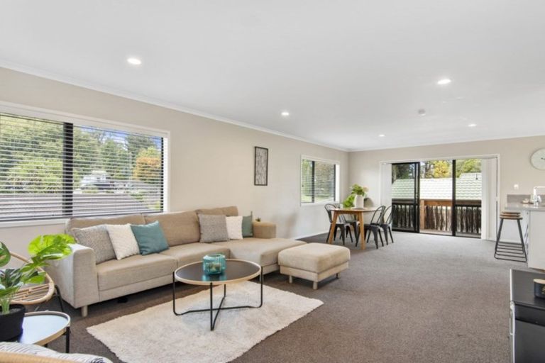 Photo of property in 482b Fraser Street, Parkvale, Tauranga, 3112