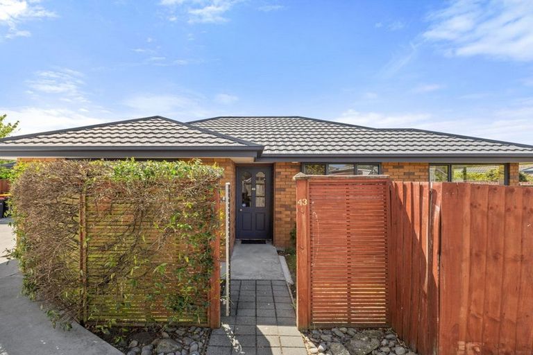 Photo of property in 43 Richards Avenue, Papanui, Christchurch, 8053