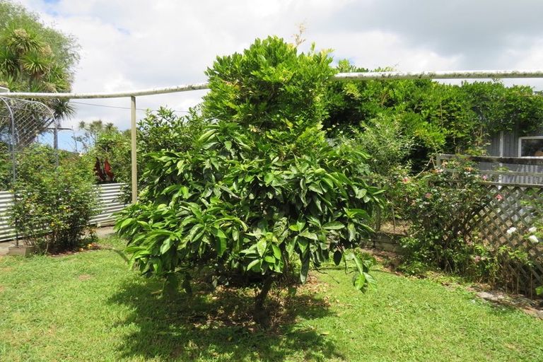 Photo of property in 244 Tinopai Road, Matakohe, 0593