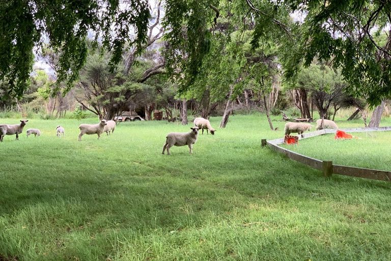 Photo of property in 119 Paekakariki Hill Road, Pauatahanui, Porirua, 5381