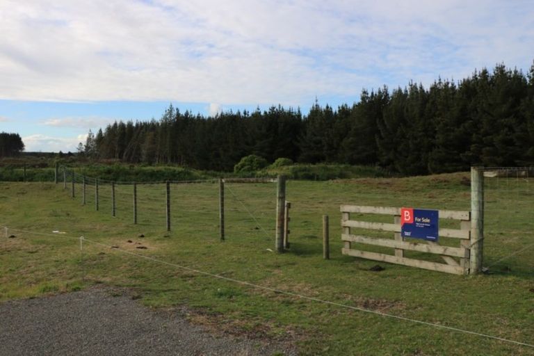 Photo of property in 10 Maury Place, Foxton, 4814