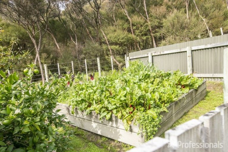 Photo of property in 91 Boar Bush Gully Road, Featherston, 5710