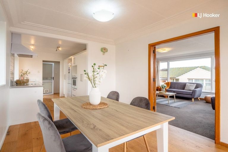 Photo of property in 221 Highcliff Road, Shiel Hill, Dunedin, 9013