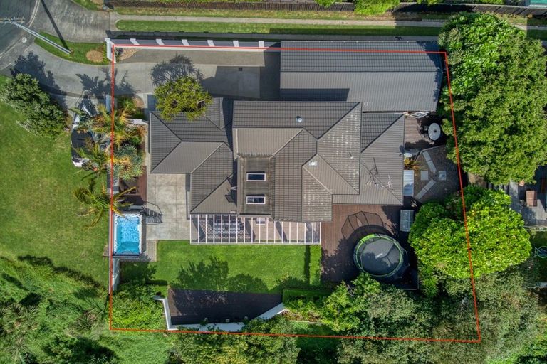 Photo of property in 230 Fourteenth Avenue, Tauranga South, Tauranga, 3112