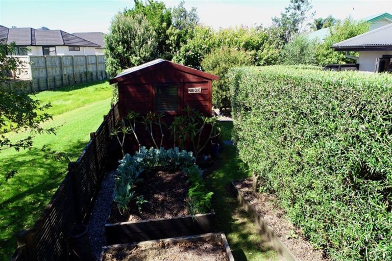 Photo of property in 16 Protea Crescent, Whitianga, 3510