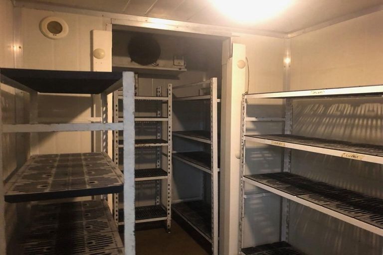 Photo of property in 3 Holland Street, Te Aro, Wellington, 6011