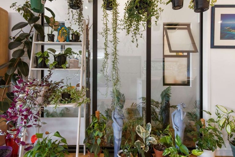 Photo of property in 12 Jacob Street, Brookfield, Tauranga, 3110