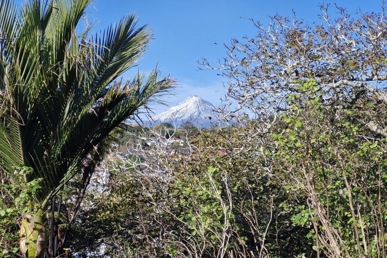 Photo of property in 51 Young Street, New Plymouth, 4310