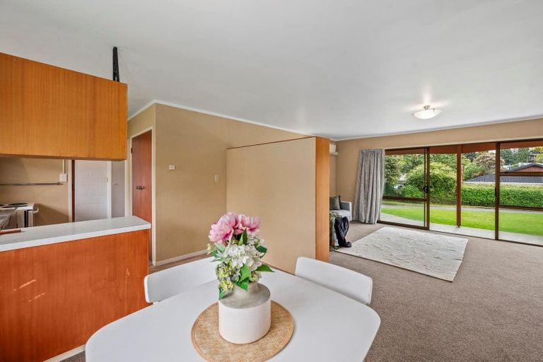 Photo of property in 9b Galbraith Street, Springfield, Rotorua, 3015