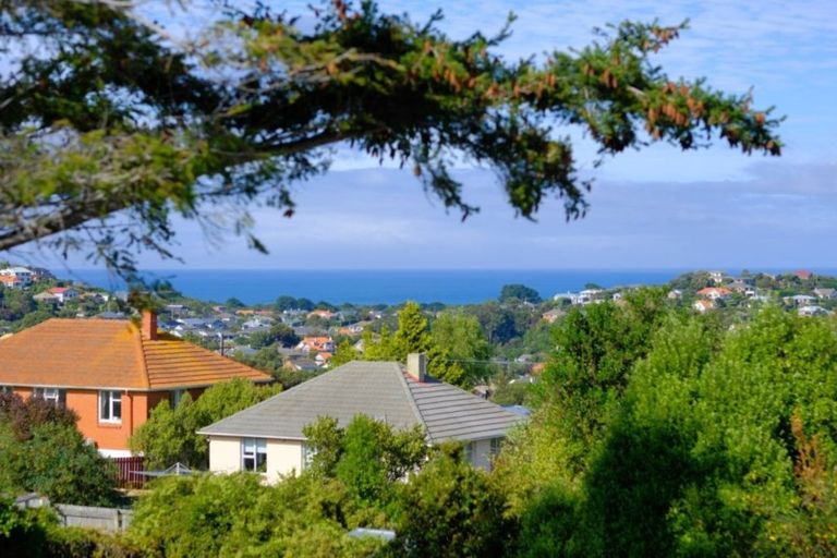 Photo of property in 36 Belford Street, Waverley, Dunedin, 9013