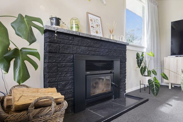 Photo of property in 485 Kaikorai Valley Road, Bradford, Dunedin, 9011