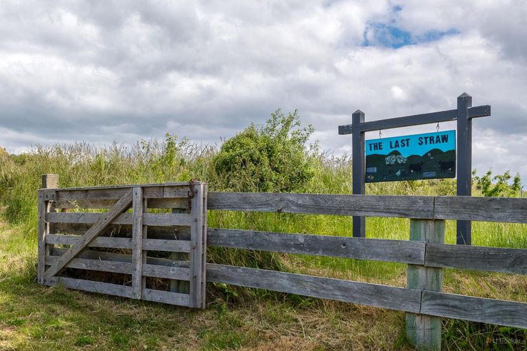 Photo of property in 407 Elephant Hill Road, Waihao Downs, Waimate, 7977