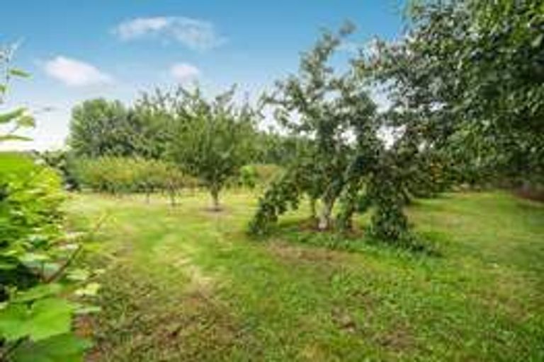 Photo of property in 318 Gun Club Road, Pukekohe, 2676