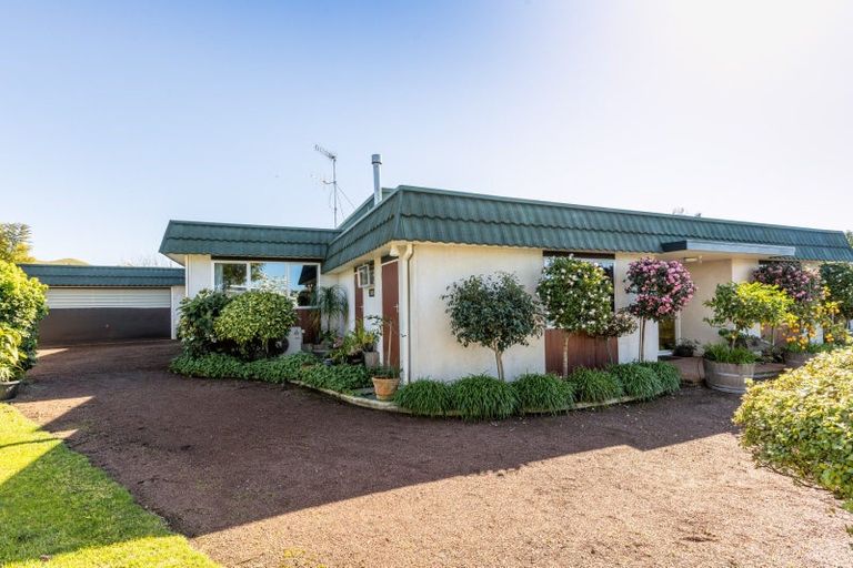 Photo of property in 14 D'arcy Place, Taradale, Napier, 4112
