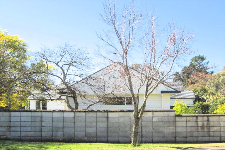 Photo of property in 63 Kopanga Road, Havelock North, 4130