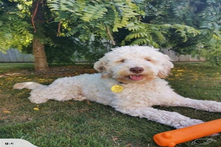 Photo of property in 5 Sun Valley Way, Wainuiomata, Lower Hutt, 5014