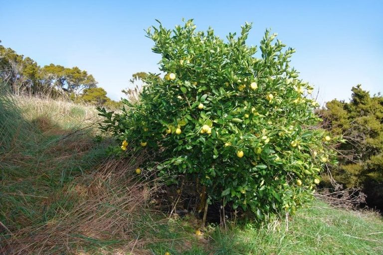 Photo of property in 542e Oneriri Road, Kaiwaka, 0573