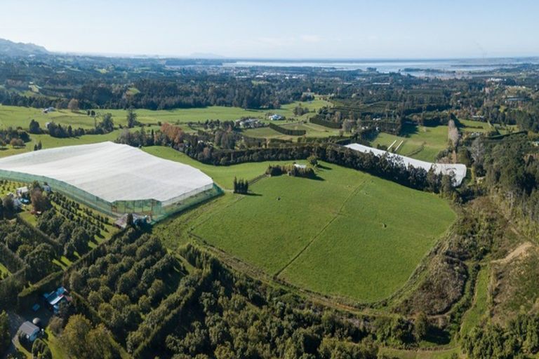 Photo of property in 291 Rea Road, Tahawai, 3178