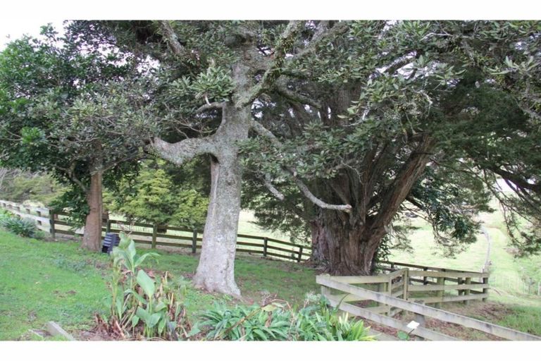 Photo of property in 262a Whau Valley Road, Whau Valley, Whangarei, 0112