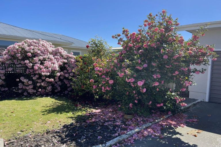 Photo of property in 46 Redcastle Road, Oamaru North, Oamaru, 9400