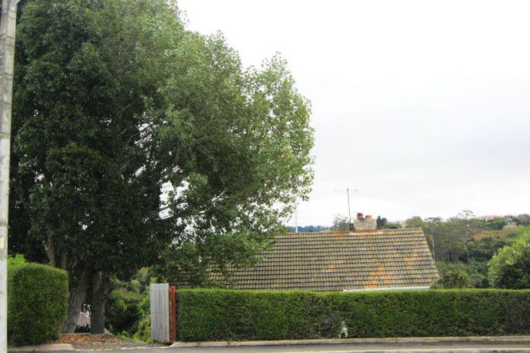 Photo of property in 80 Waimea Avenue, Calton Hill, Dunedin, 9012