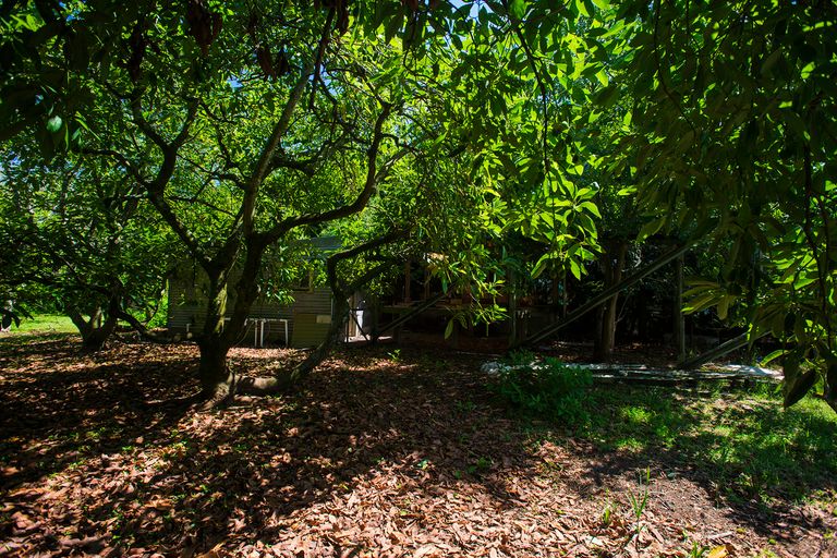 Photo of property in 618 Nelson Road, Makauri, Gisborne, 4071