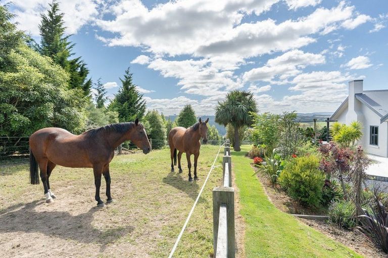 Photo of property in 138 Mckendry Road, Woodside, Outram, 9074