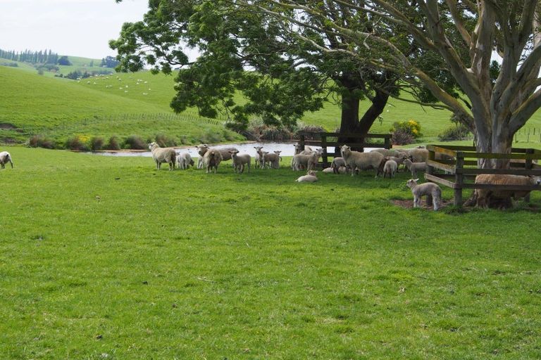 Photo of property in 1962 State Highway 2, Waipukurau, 4275