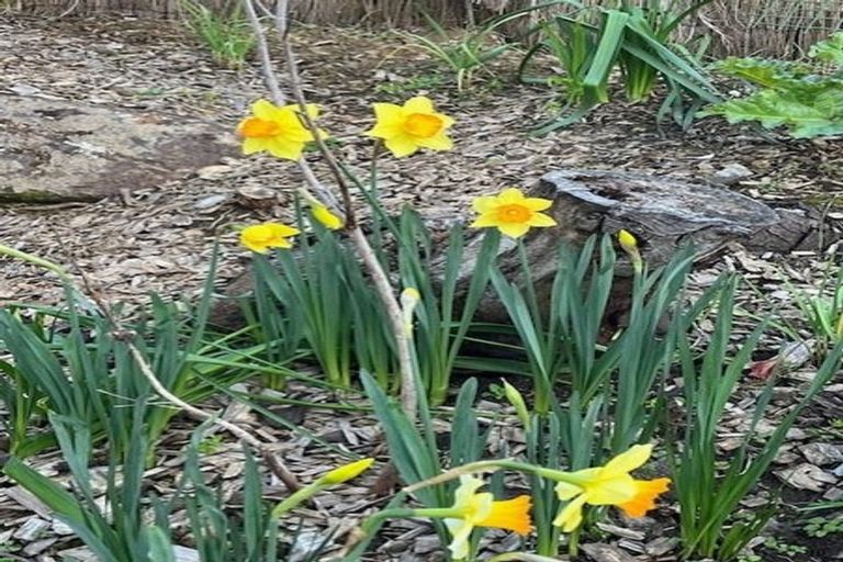 Photo of property in 5 Sandy Beach Road, Tinopai, 0593