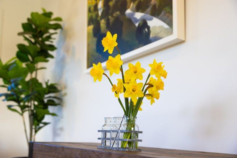 Photo of property in 228 Avondale Road, Greenmeadows, Napier, 4112