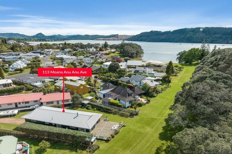 Photo of property in 113 Moana Anu Anu Avenue, Whangamata, 3620