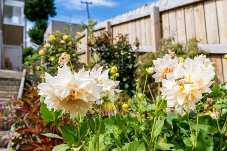 Photo of property in 108 Mornington Road, Kenmure, Dunedin, 9011