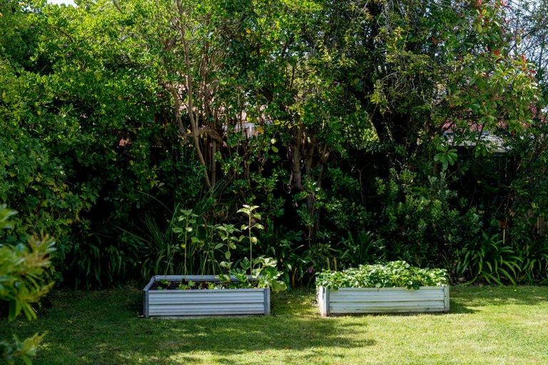 Photo of property in 64 Botha Street, Tainui, Dunedin, 9013