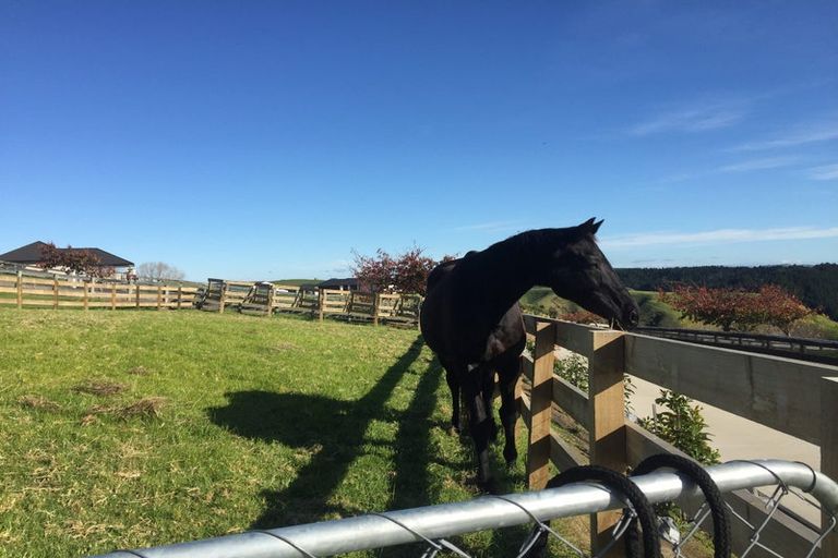 Photo of property in 109 Mimiha Ridge Road, Matata, Whakatane, 3194