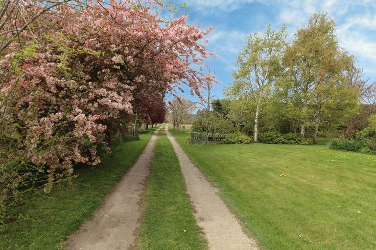 Photo of property in 44 Woolshed Road, Reidston, Oamaru, 9492