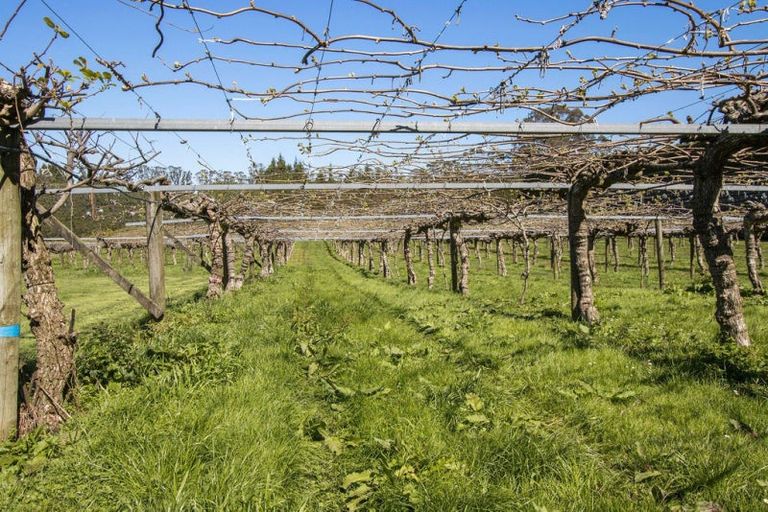 Photo of property in 28 Lindemann Road, Katikati, 3170