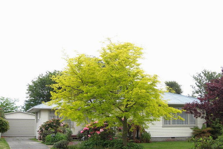 Photo of property in 17 Dunedin Street, Redwood, Christchurch, 8051