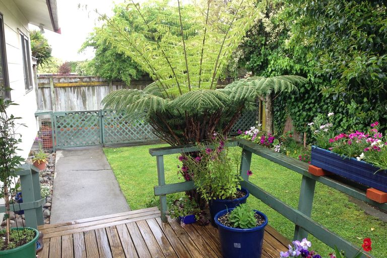 Photo of property in 20c Frederick Street, Terrace End, Palmerston North, 4410