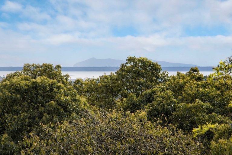 Photo of property in 326 Lockington Road, Aongatete, Katikati, 3181