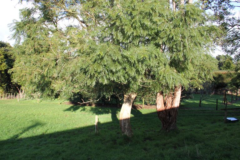 Photo of property in 85 Newton Road, Maungatapere, Whangarei, 0170